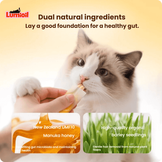 BRIGHT Number 1 High-Purity Fish Oil Wet Cat Treats 12g*8