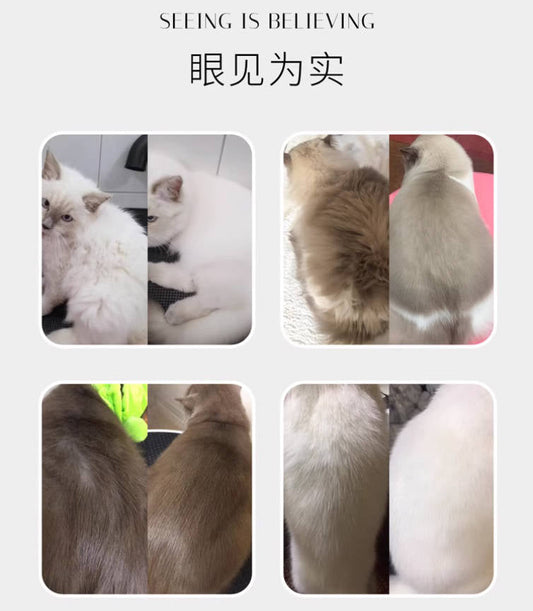 【国内宠物店专用】沐森堂猫咪沐浴露70ml套装(一定要买稀释瓶用)