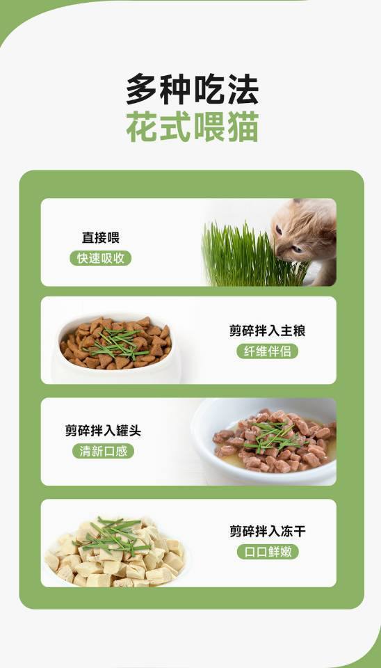 懒人泡面猫草