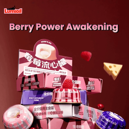 FURRYTAIL Meimei Silky Flowing Berry Core Wet Cat Food 65g*4