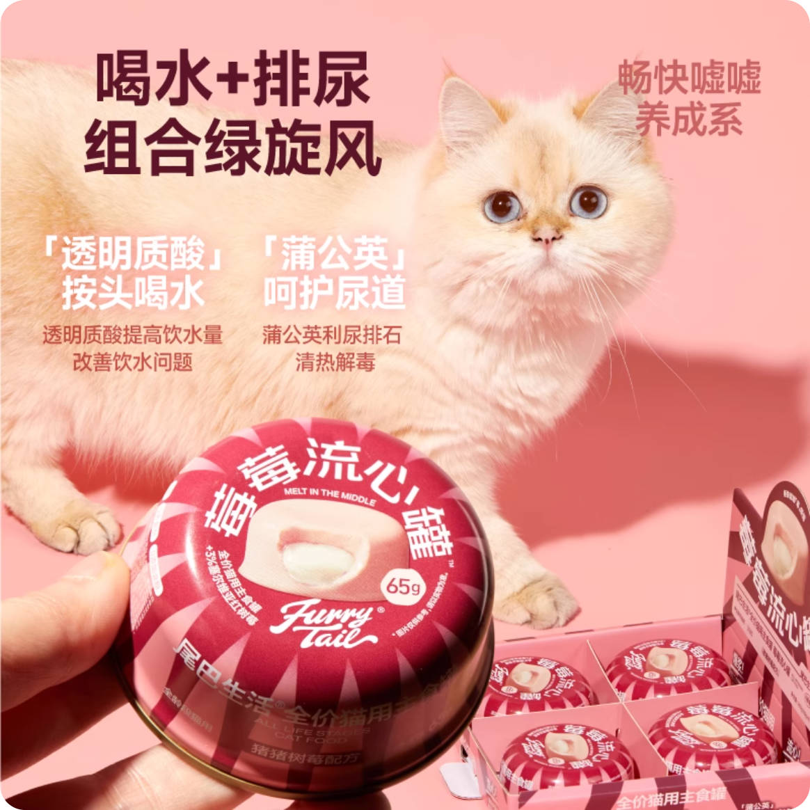 Furrytail尾巴生活莓莓流心全价主食罐65g*4/盒