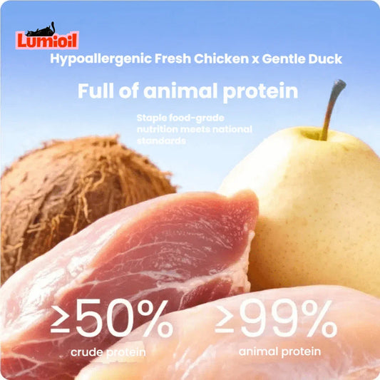 BRIGHT Summer Limited Edition Staple Meal Box Wet Cat Food 120g