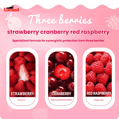 NiYa Full-Price Staple Food Berry Pie Wet Cat Food 55g*6