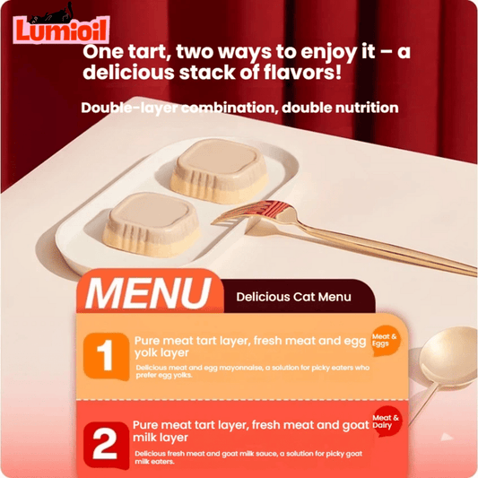 BRIGHT Dual-Layer Staple Meal Box Wet Cat Food 40g*4