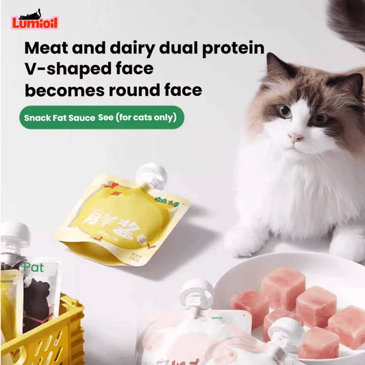 PARTNER Fat Sauce Wet Cat Treats 100g