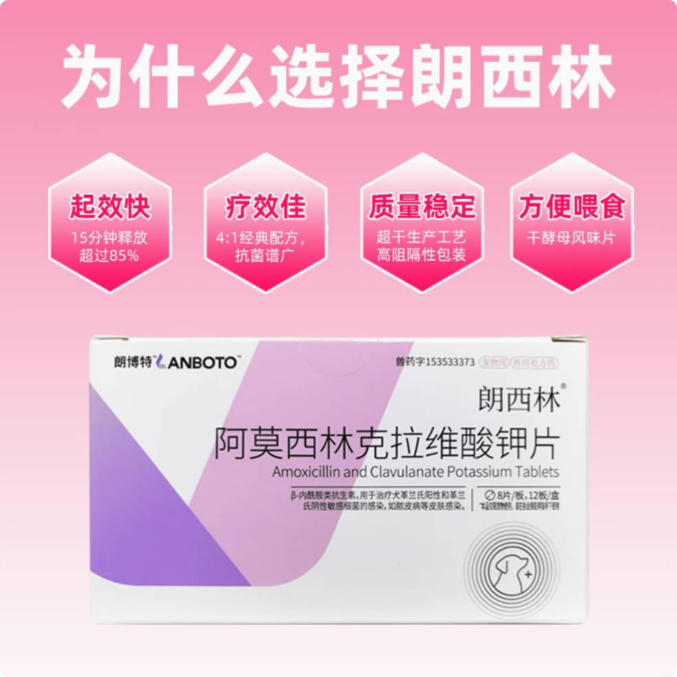 【速诺相同】朗博特朗西林阿莫西林克拉维酸钾片50mg【猫鼻支、感冒咳嗽、皮肤感染、泌尿感染】