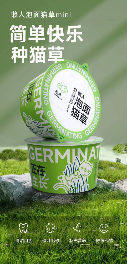 懒人泡面猫草