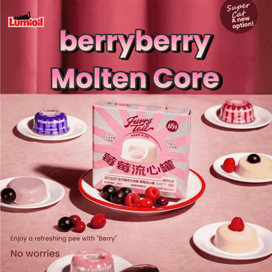 FURRYTAIL Meimei Silky Flowing Berry Core Wet Cat Food 65g*4