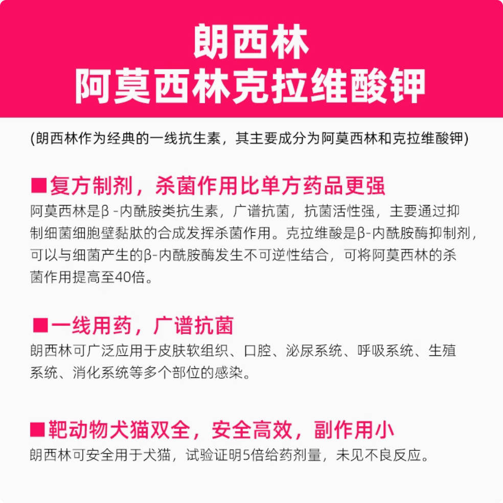 【速诺相同】朗博特朗西林阿莫西林克拉维酸钾片50mg【猫鼻支、感冒咳嗽、皮肤感染、泌尿感染】
