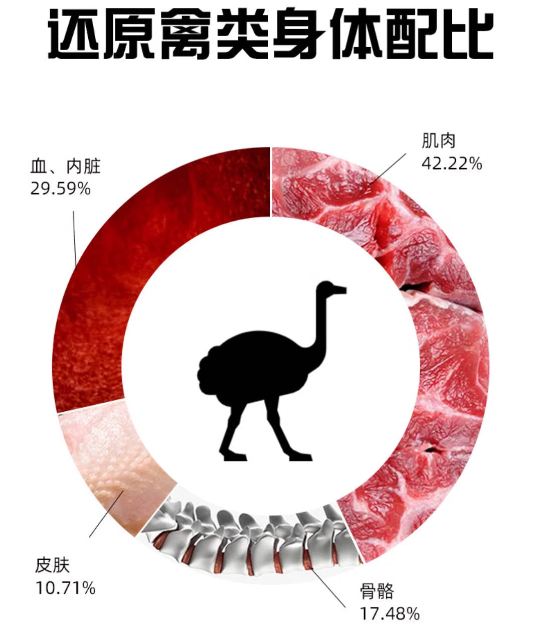 PALMY DAYS 帕美德全价主食冻干40g