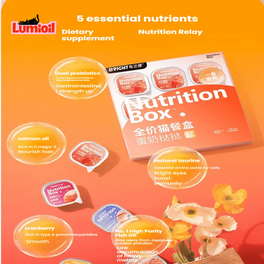 BRIGHT Dual-Layer Staple Meal Box Wet Cat Food 40g*4