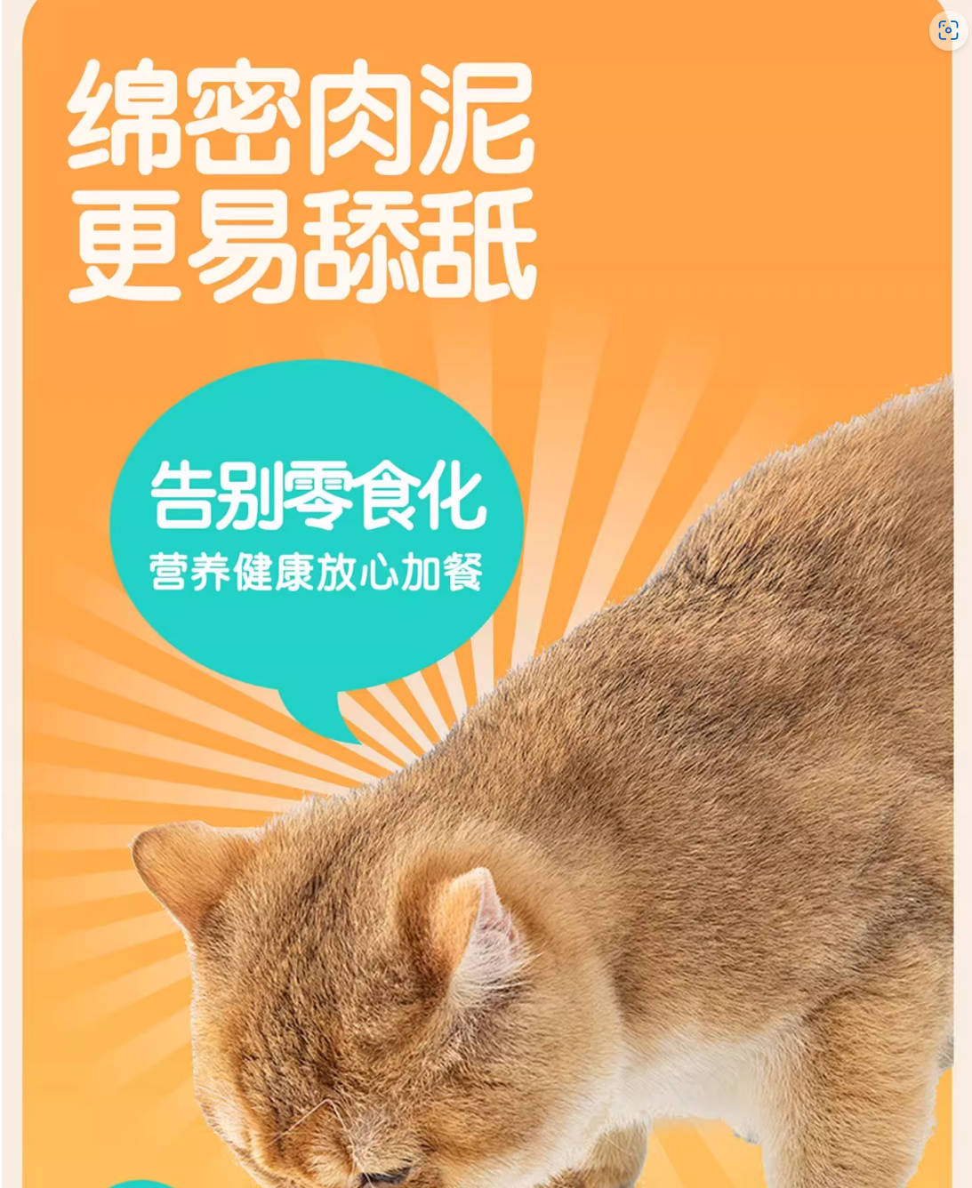 Senxi森熹全价主食猫罐85g