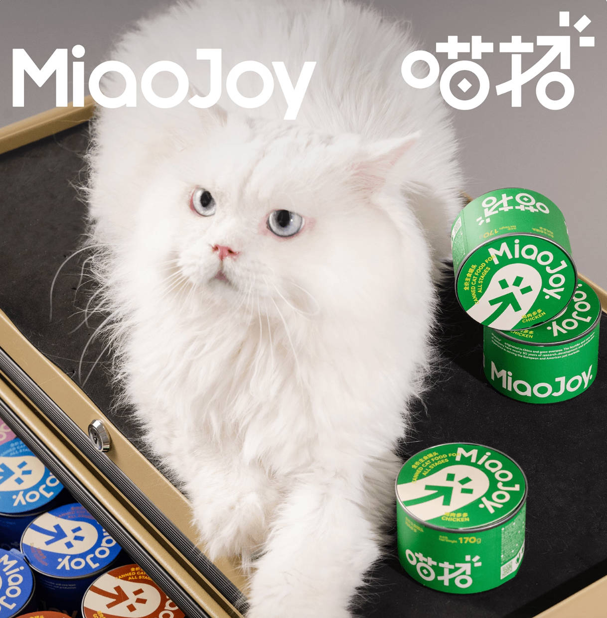 MiaoJoy喵招985经典全价主食罐85g